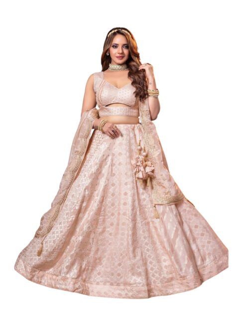 ADHIA Women's Banarasi Silk Lehenga, Dupatta & Blouse Set | Traditional Wear Lehenga Choli for Women (Light Pink, L)
